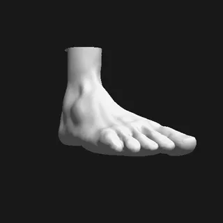 Feet