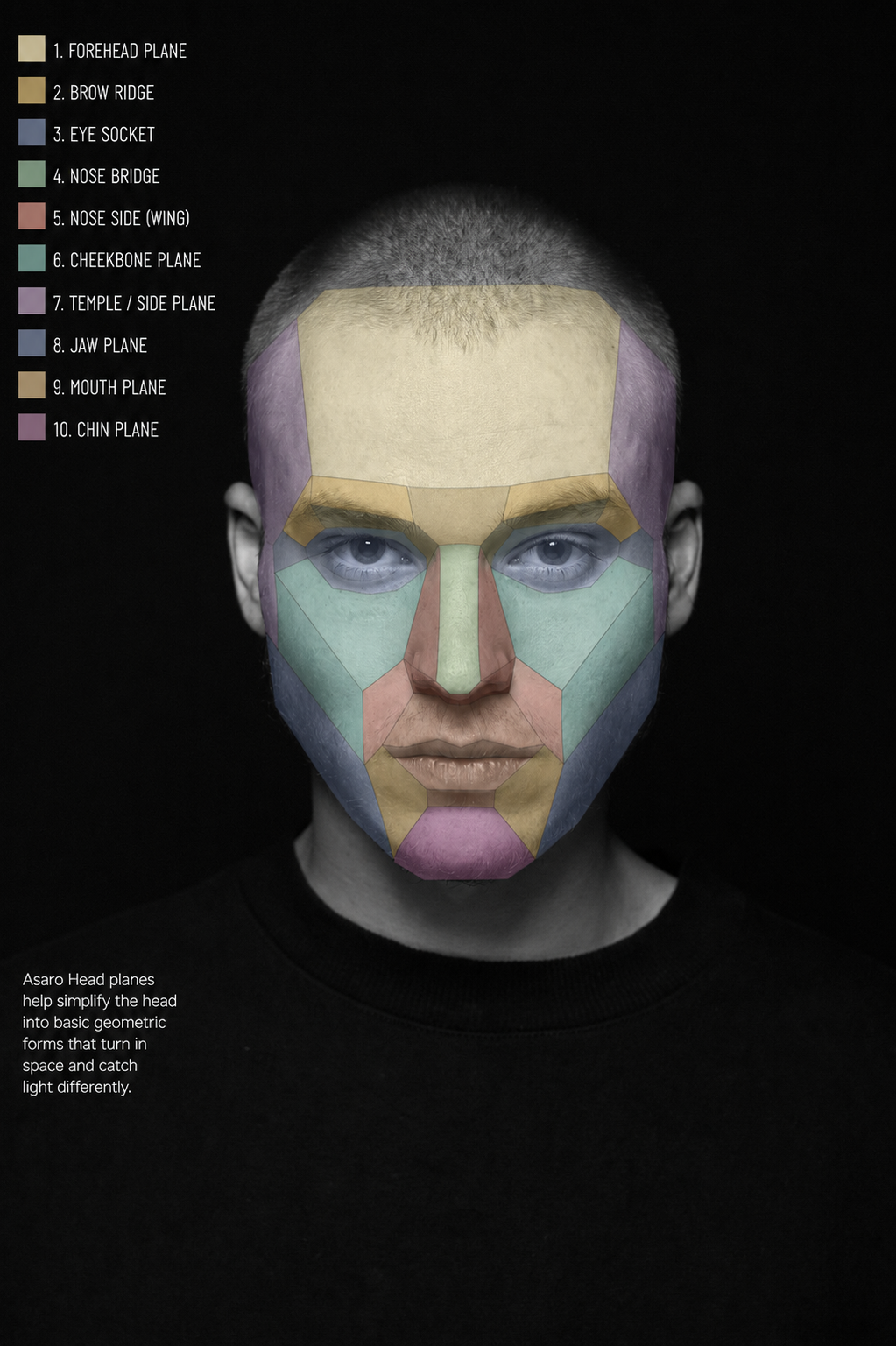 A front-facing portrait with the Asaro planes mapped in colour and labelled: forehead, brow ridge, eye socket, nose bridge, nose side, cheekbone, temple, jaw, mouth and chin planes.